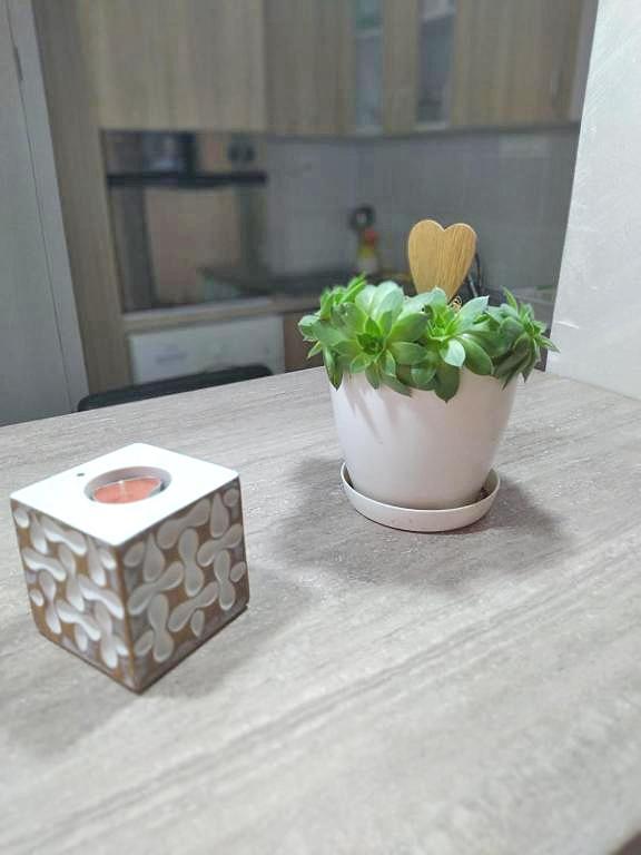 Harmony Apartment Radanovici Luaran gambar